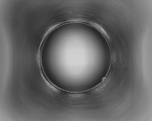 X0000112791247200908211107