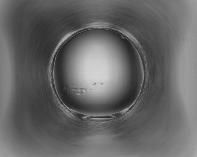 X0000112791248200908211107