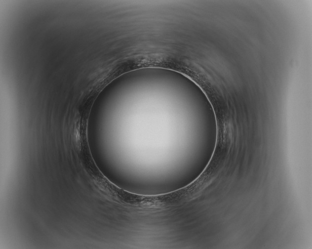X0000112791250200908211106