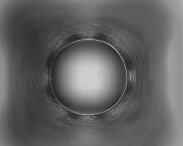 X0000112791251200908211106