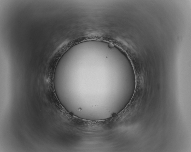 X0000112791254200908211106