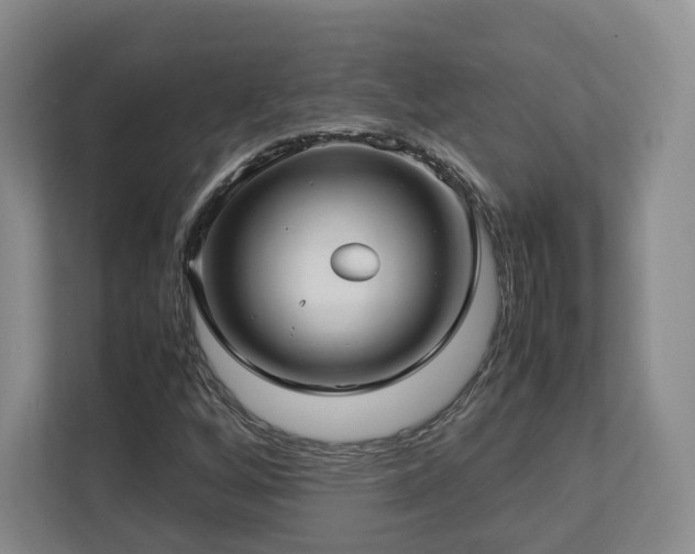 X0000112791256200908211106