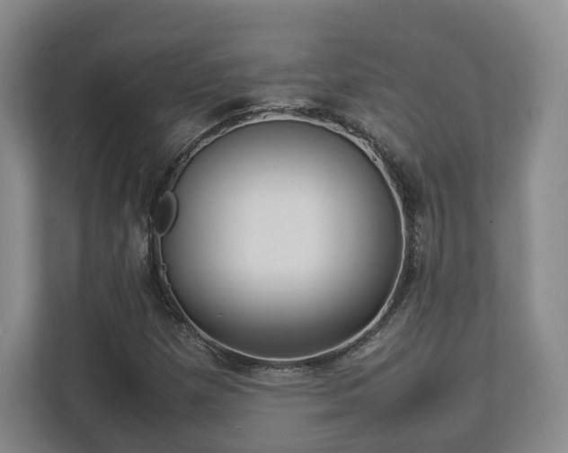 X0000112791257200908211106