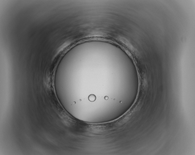 X0000112791258200908211106