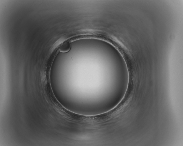 X0000112791259200908211106