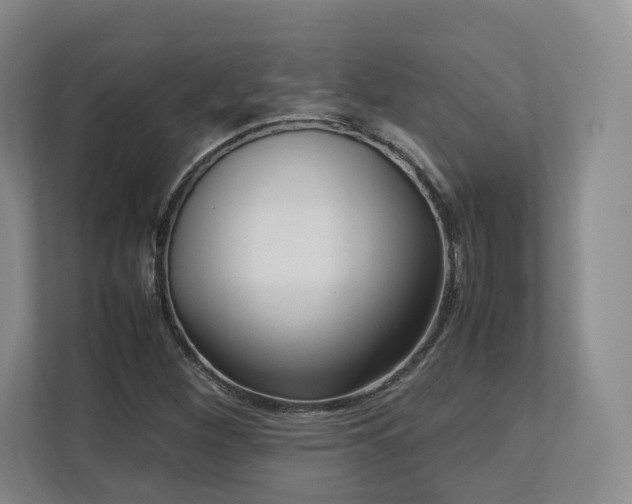 X0000112791260200908211106