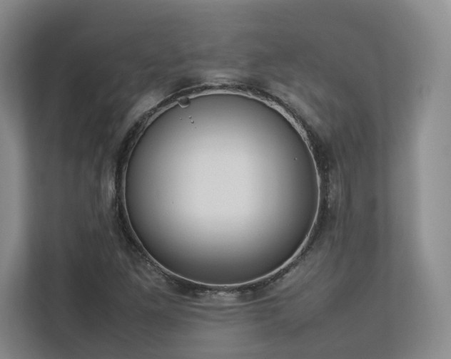 X0000112791261200908211106