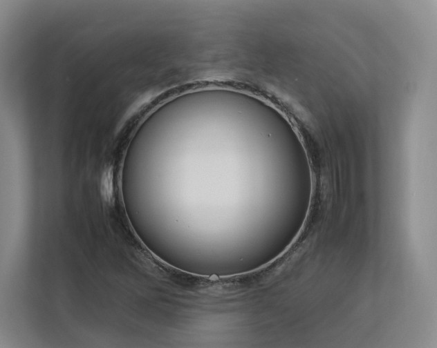 X0000112791262200908211106