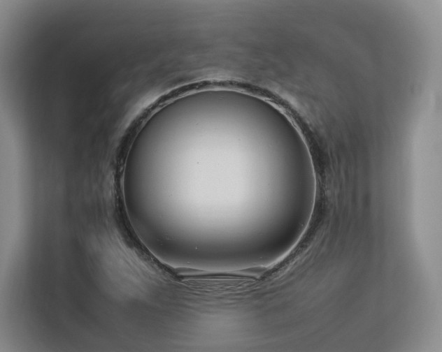 X0000112791263200908211106