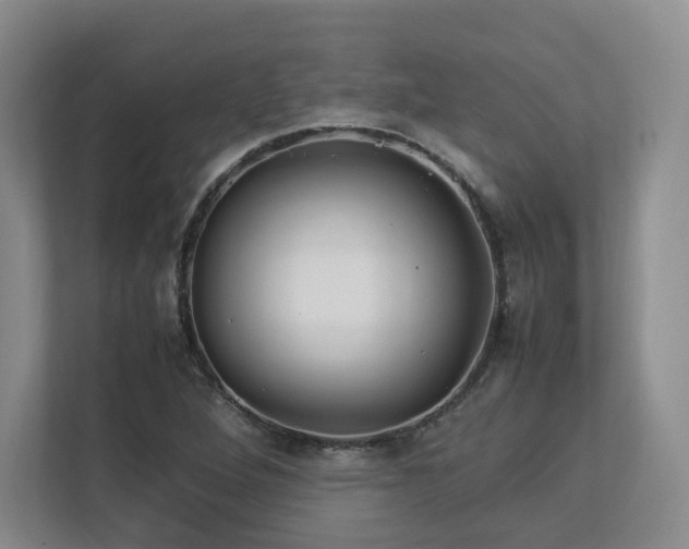 X0000112791264200908211106