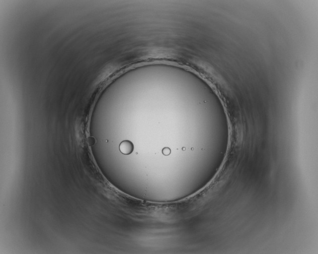 X0000112791266200908211106