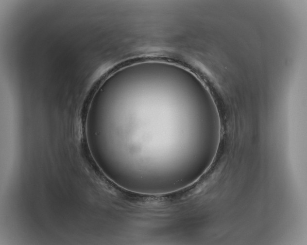 X0000112791267200908211106