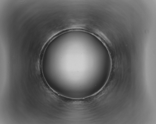X0000112791268200908211106
