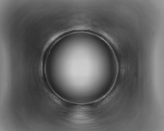 X0000112791270200908211106