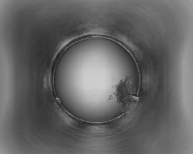 X0000112791272200908211106