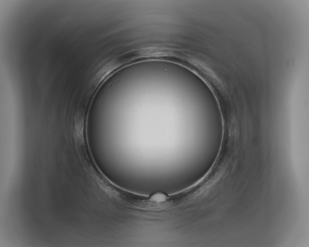 X0000112791273200908211106