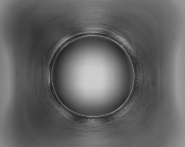 X0000112791275200908211106
