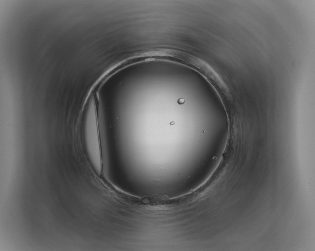 X0000112791276200908211106
