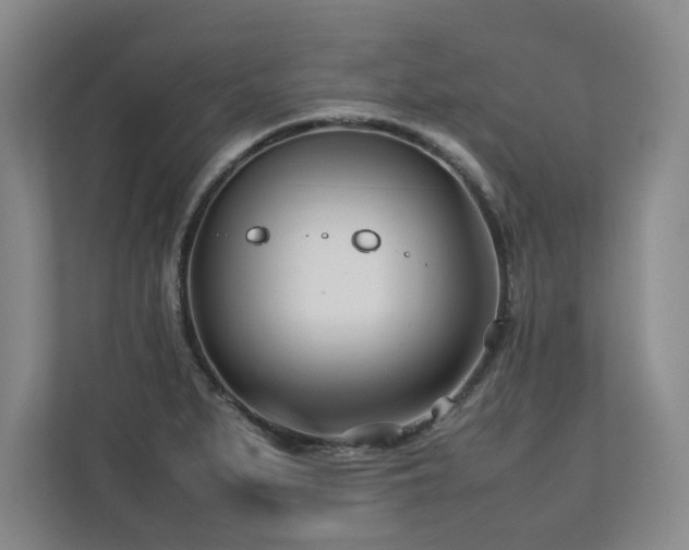 X0000112791279200908211106