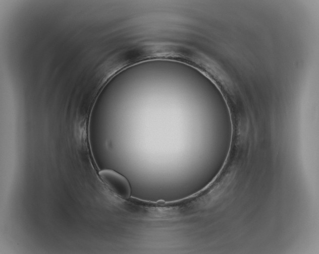 X0000112791281200908211106