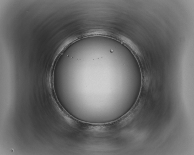 X0000112791282200908211106