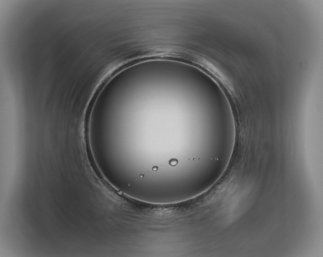 X0000112791283200908211106