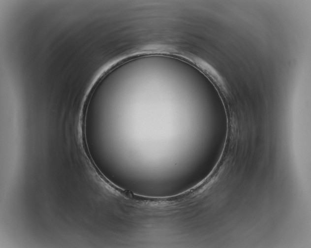 X0000112791288200908211106