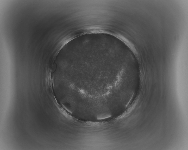 X0000112791289200908211106