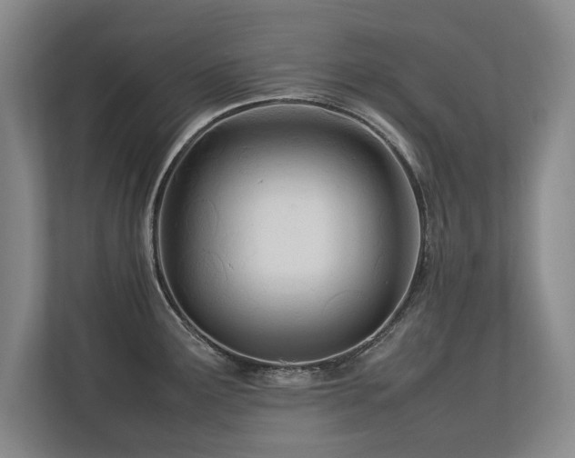 X0000112791291200908211106