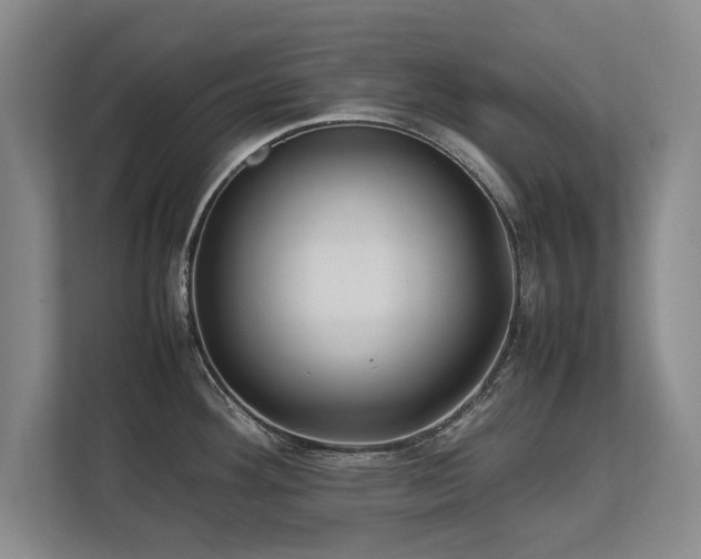 X0000112791292200908211106