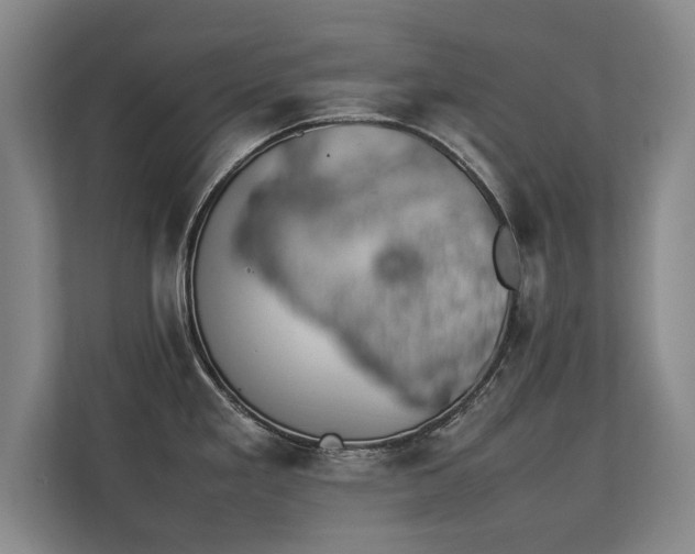 X0000112791293200908211106