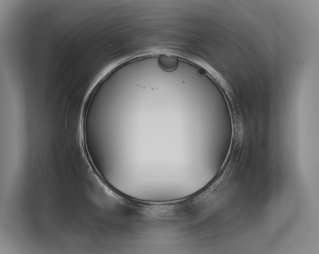 X0000112791294200908211106