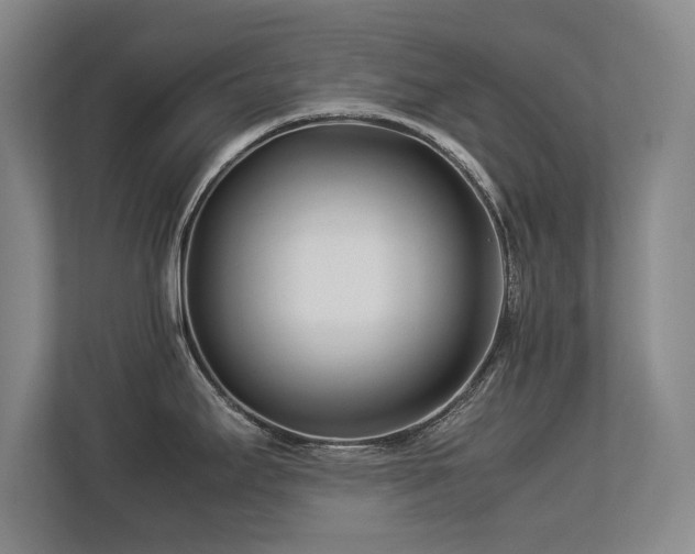 X0000112791295200908211106