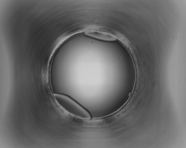 X0000112791296200908211106