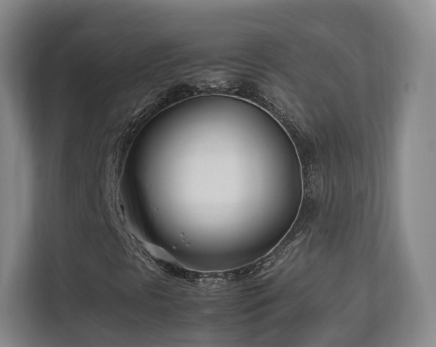 X0000112791297200908211105