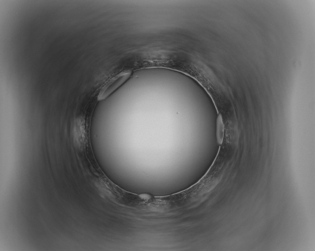 X0000112791298200908211105