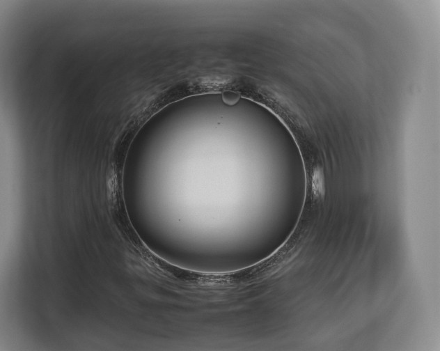 X0000112791299200908211105