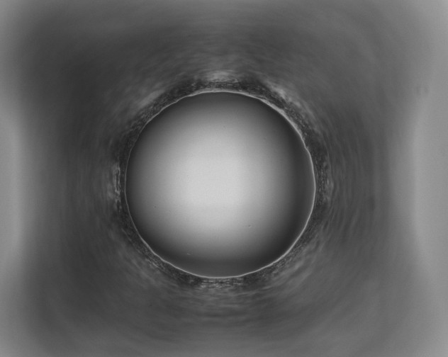 X0000112791301200908211105