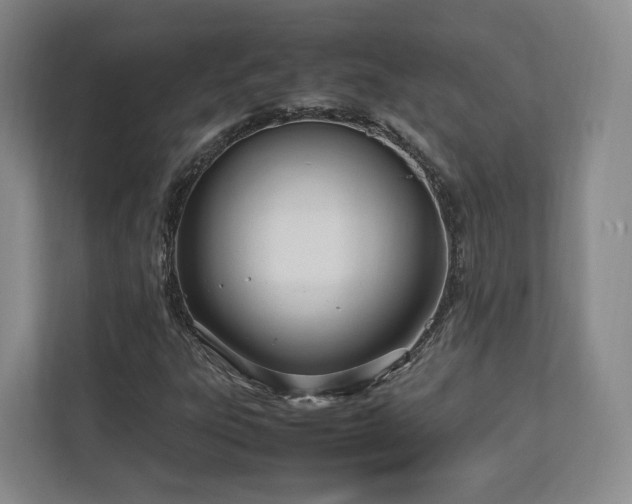 X0000112791303200908211105