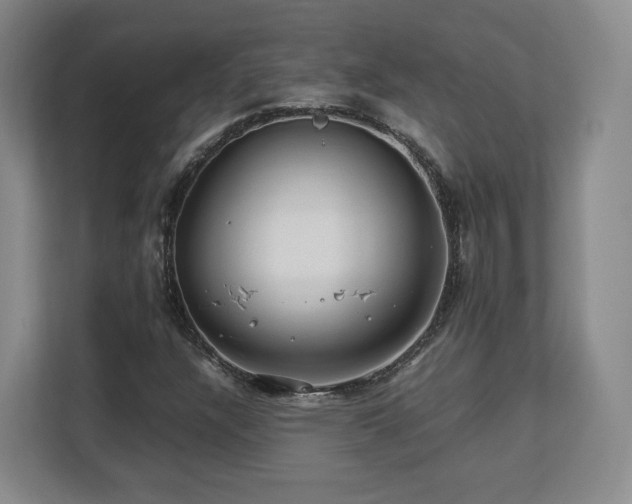 X0000112791304200908211105