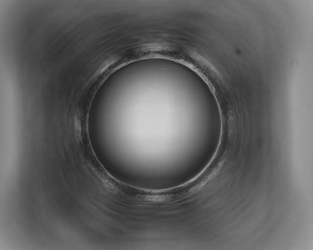 X0000112791305200908211105