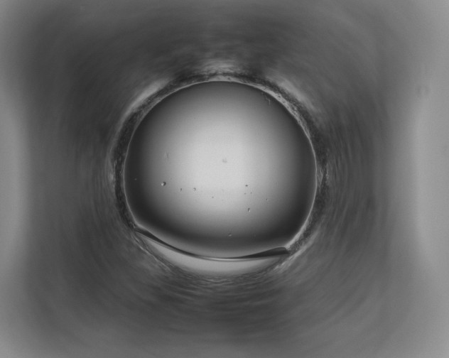 X0000112791309200908211105