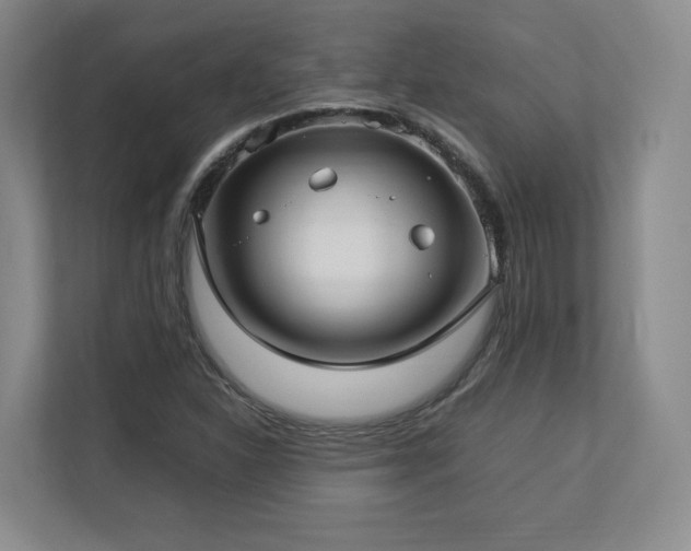 X0000112791310200908211105