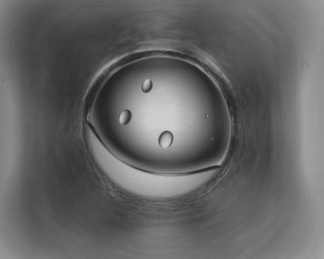 X0000112791312200908211105