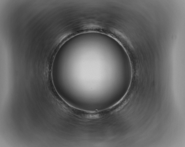 X0000112791313200908211105