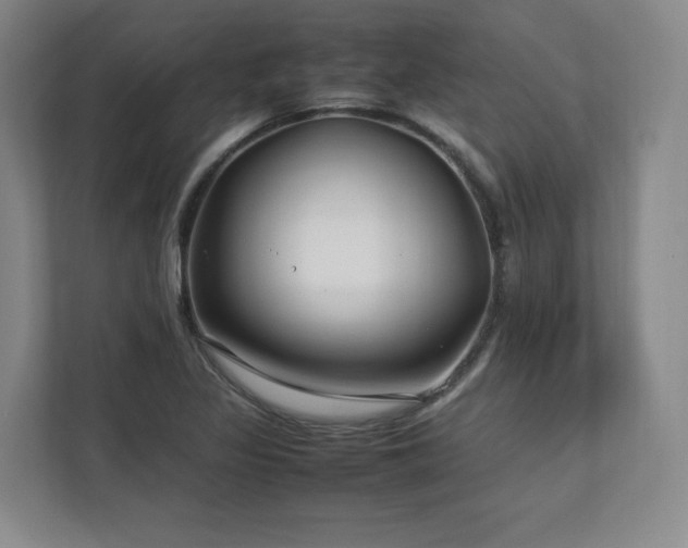 X0000112791317200908211105