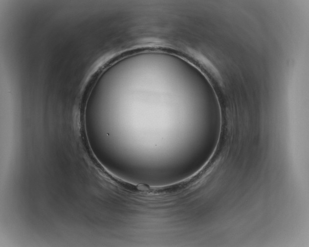 X0000112791318200908211105
