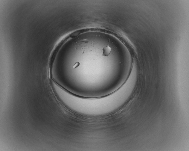X0000112791320200908211105