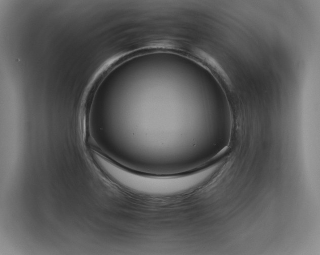 X0000112791323200908211105
