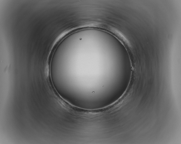 X0000112791324200908211105